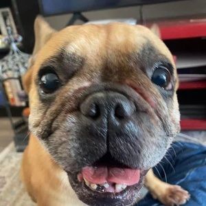 Meet your Posher, Gary